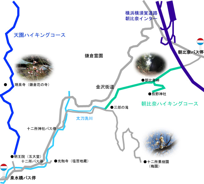 鎌倉の朝比奈ハイキングコース周辺のイラストマップ