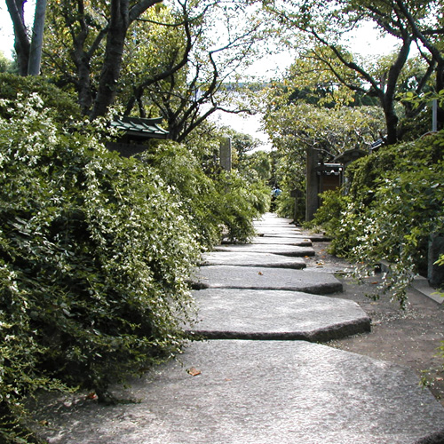 鎌倉の「萩寺」