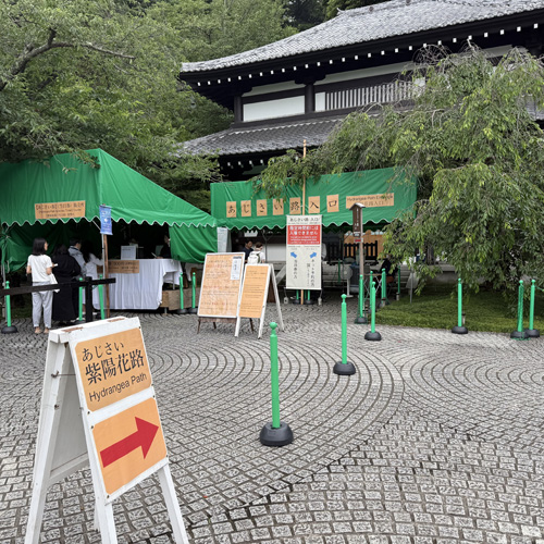 長谷寺