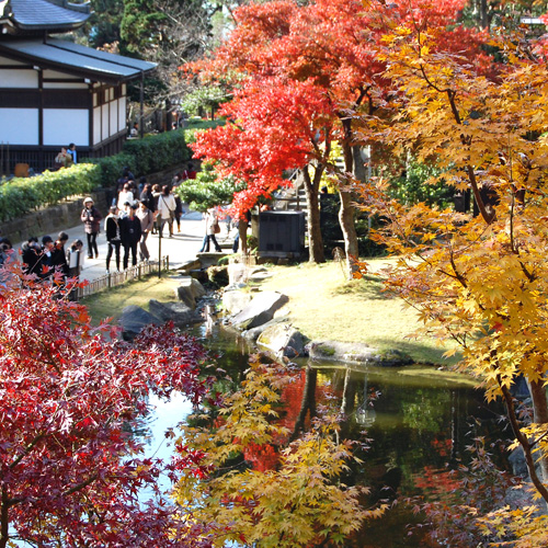 円覚寺は桜、紅葉の名所