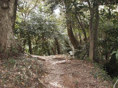 祇園山ハイキングコースの山道