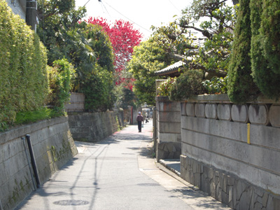 鎌倉らしい静かな路地
