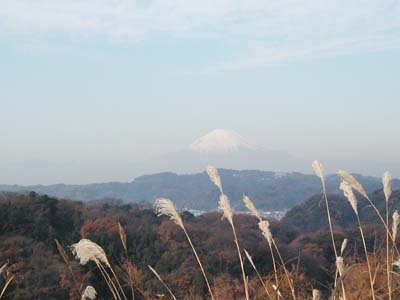 かまくら幼稚園裏手の「関東の富士見百景」