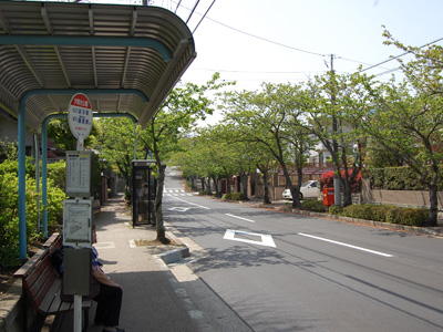 バス停から富士山のビュースポットへ