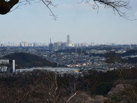 展望台から見える横浜の風景