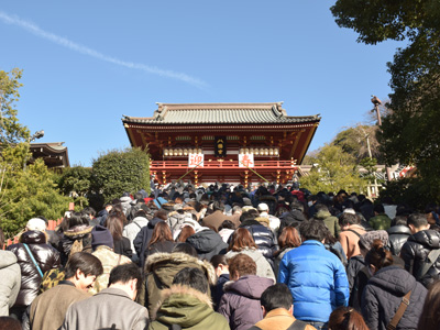 鎌倉の初詣は、鶴岡八幡宮へ