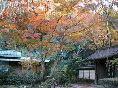 鎌倉の奥座敷・瑞泉寺の紅葉